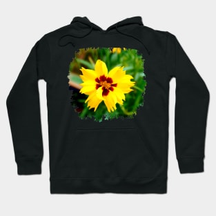 Calliopsis Hoodie